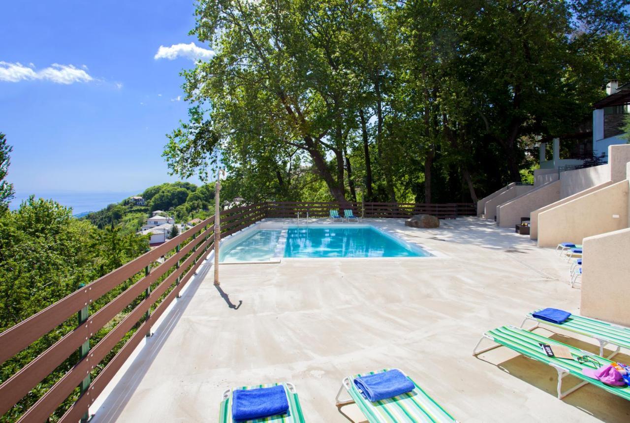 Luxury Villa At Pelion- Ruby Загора Екстериор снимка