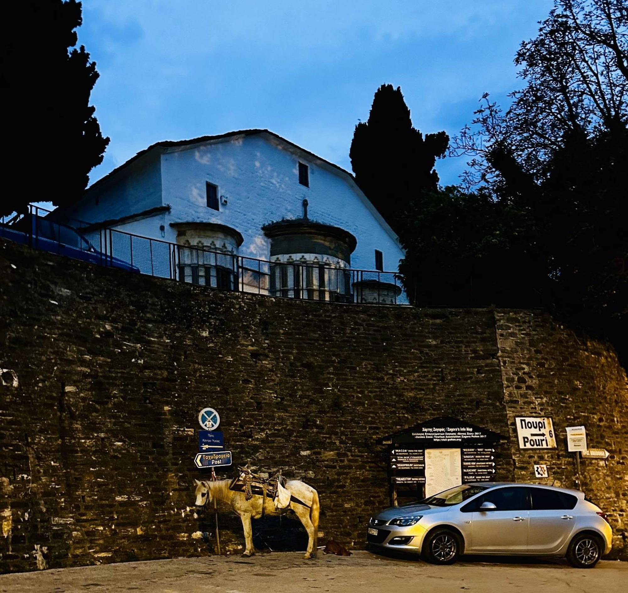 Luxury Villa At Pelion- Ruby Загора Екстериор снимка